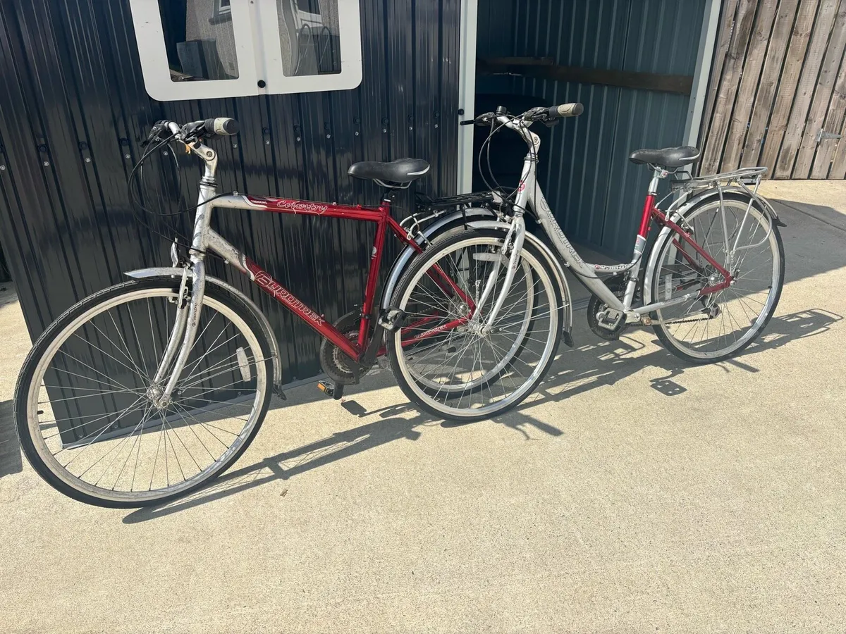 2x Bikes - Image 1