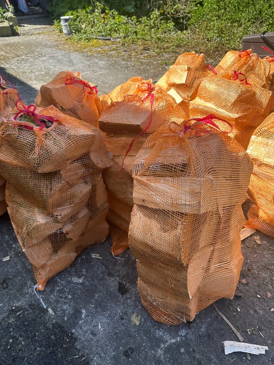 Ash firewood - Image 1