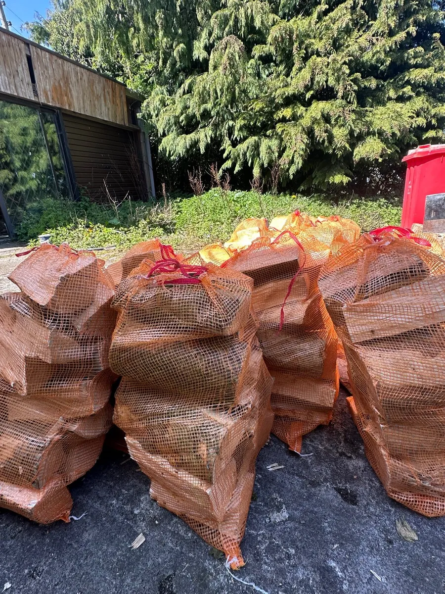 Ash firewood - Image 2