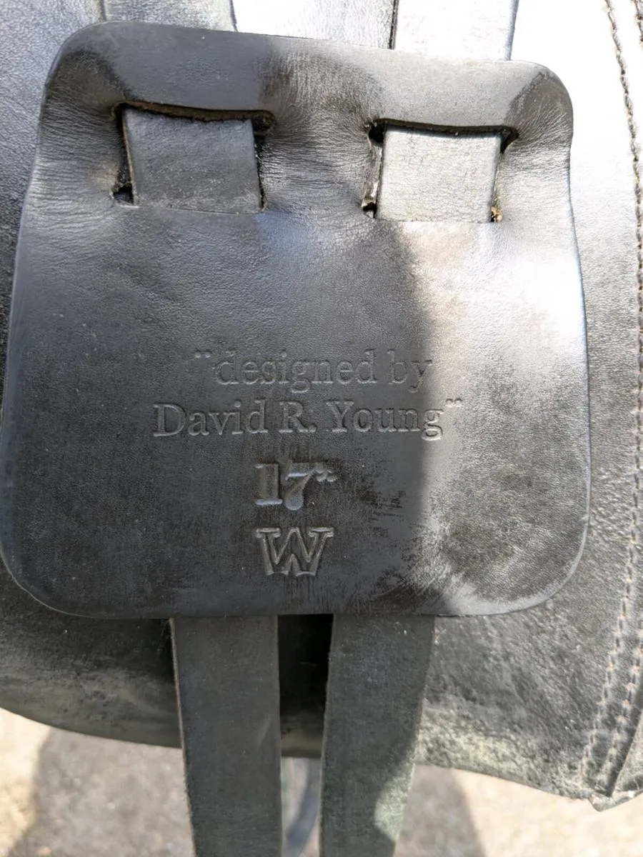 DRESSAGE SADDLE - Image 2