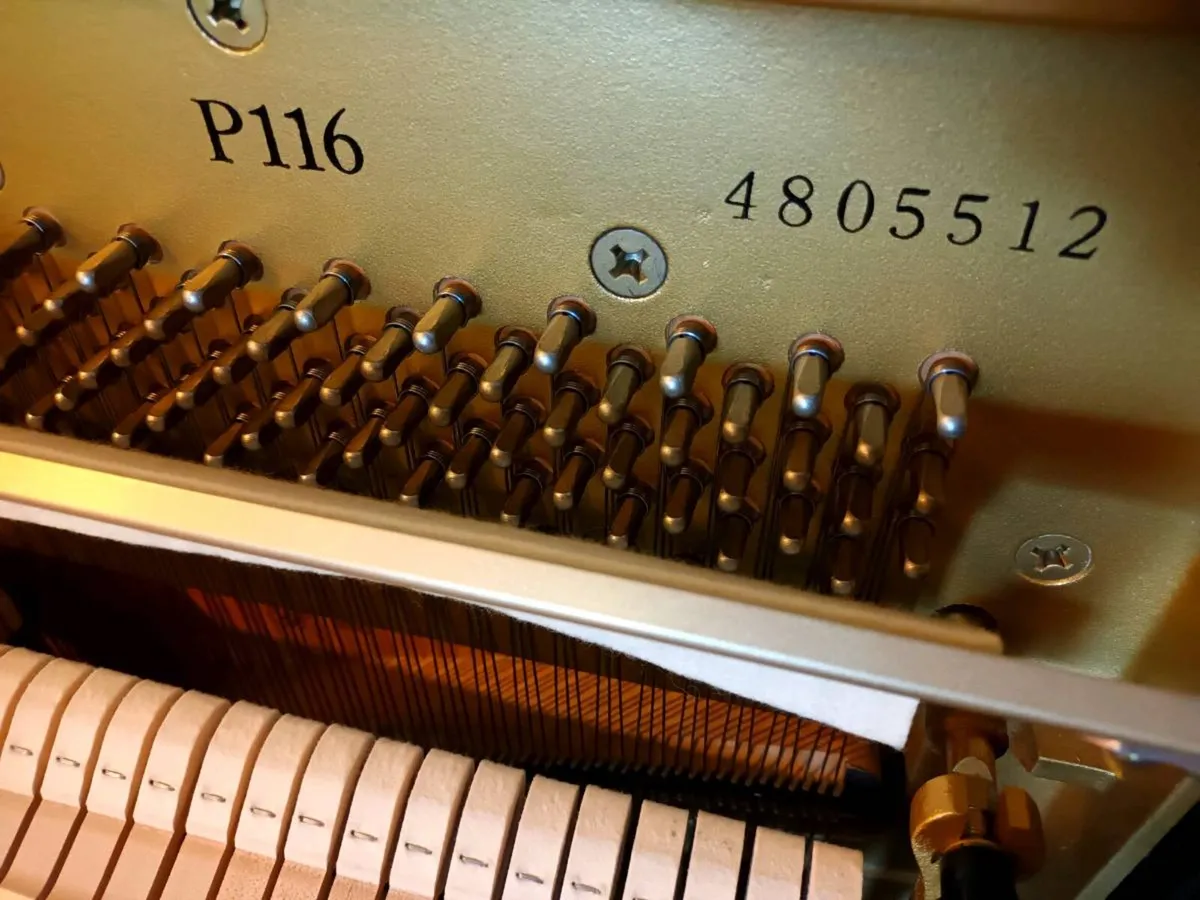 1989 Yamaha P116 | €173.62 Per Month - Image 4