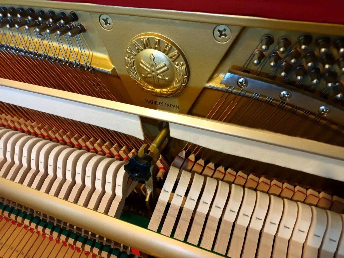 Yamaha P116 | Superb Lifetime Instrument - Image 4