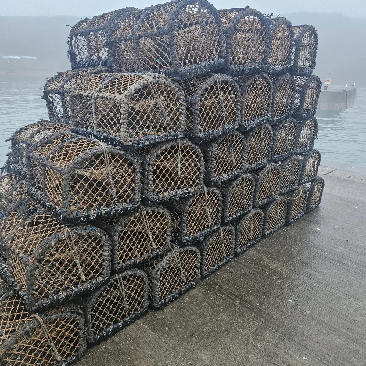 Soft eye lobster pots & brand new shrimp pots - Image 1