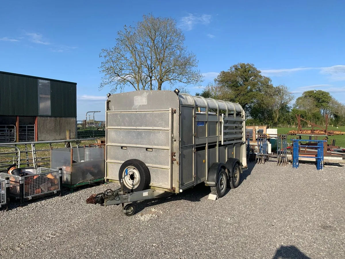 Trailer 12ft - Image 1