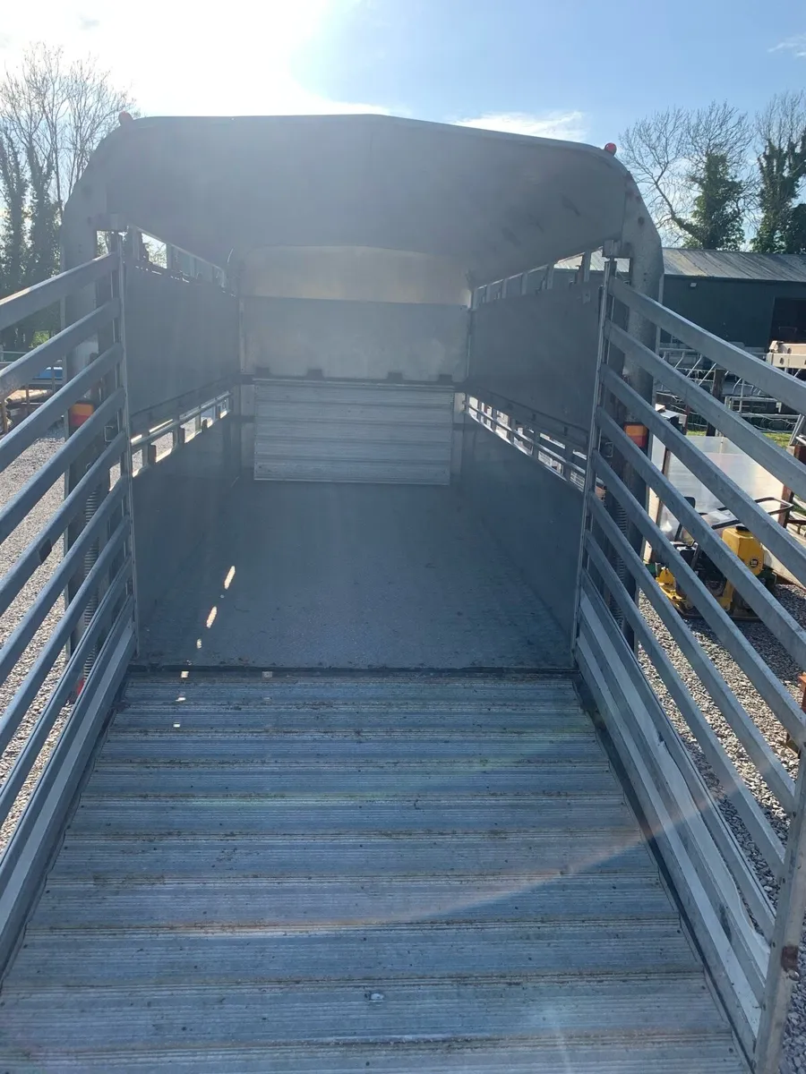 Trailer 12ft - Image 3