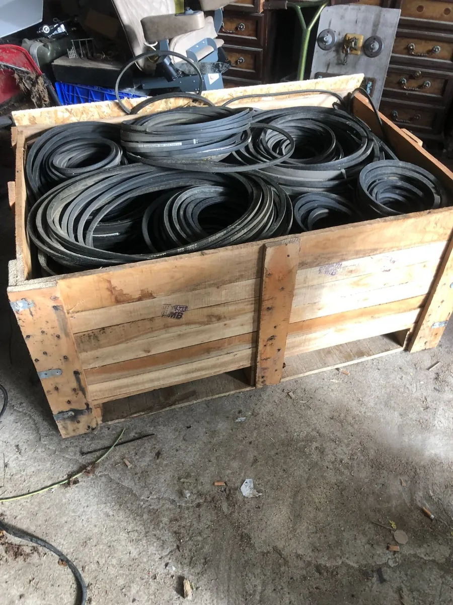 large selection of fan belts - Image 3