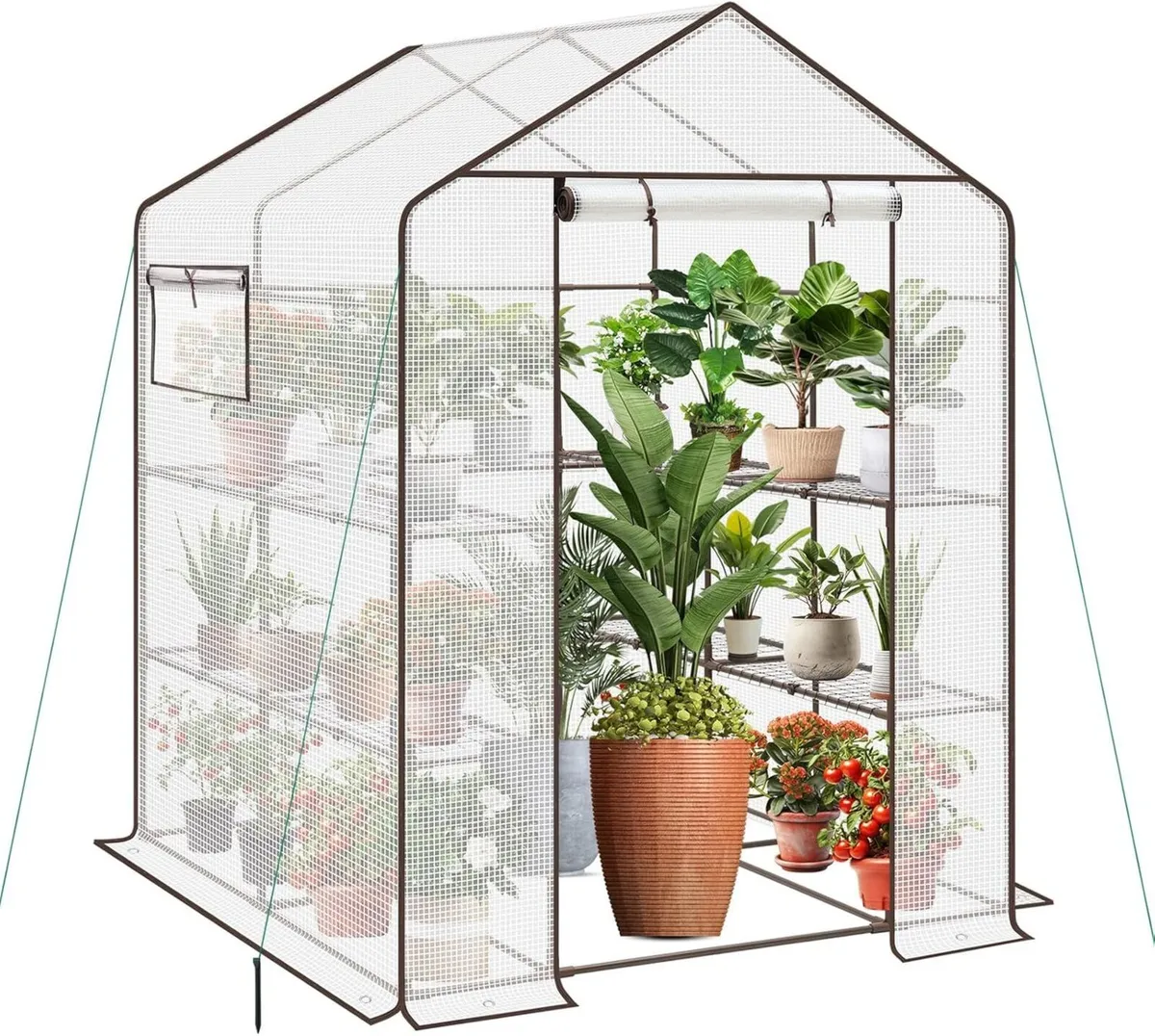 Walk In Greenhouse with Shelves - Stable Frame - Image 1