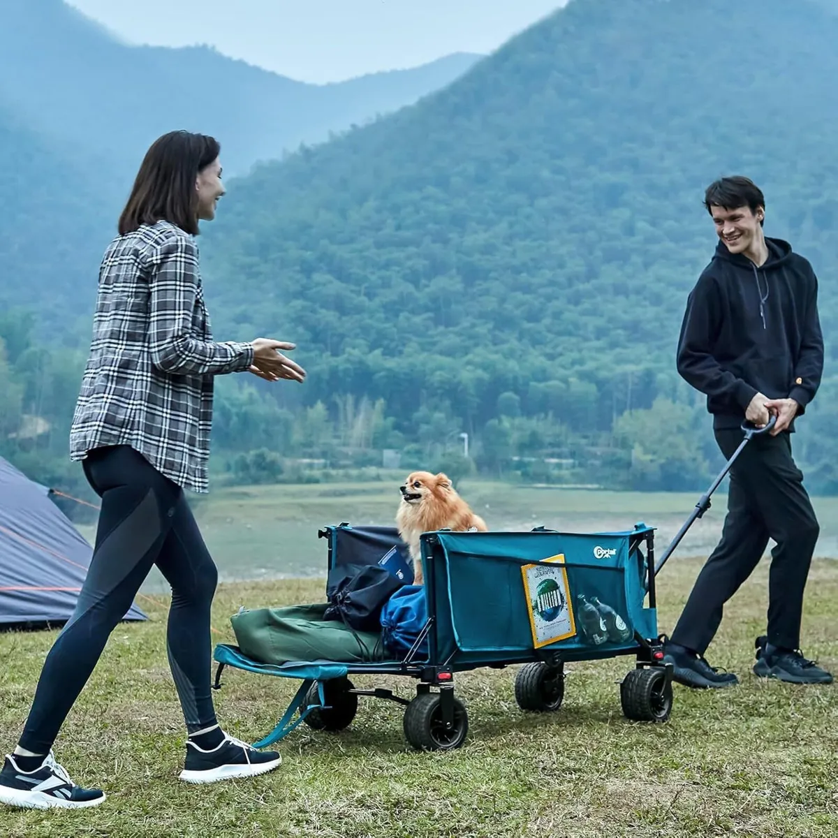 Festival Trolley with Adjustable Tailgate Brakes - Image 2