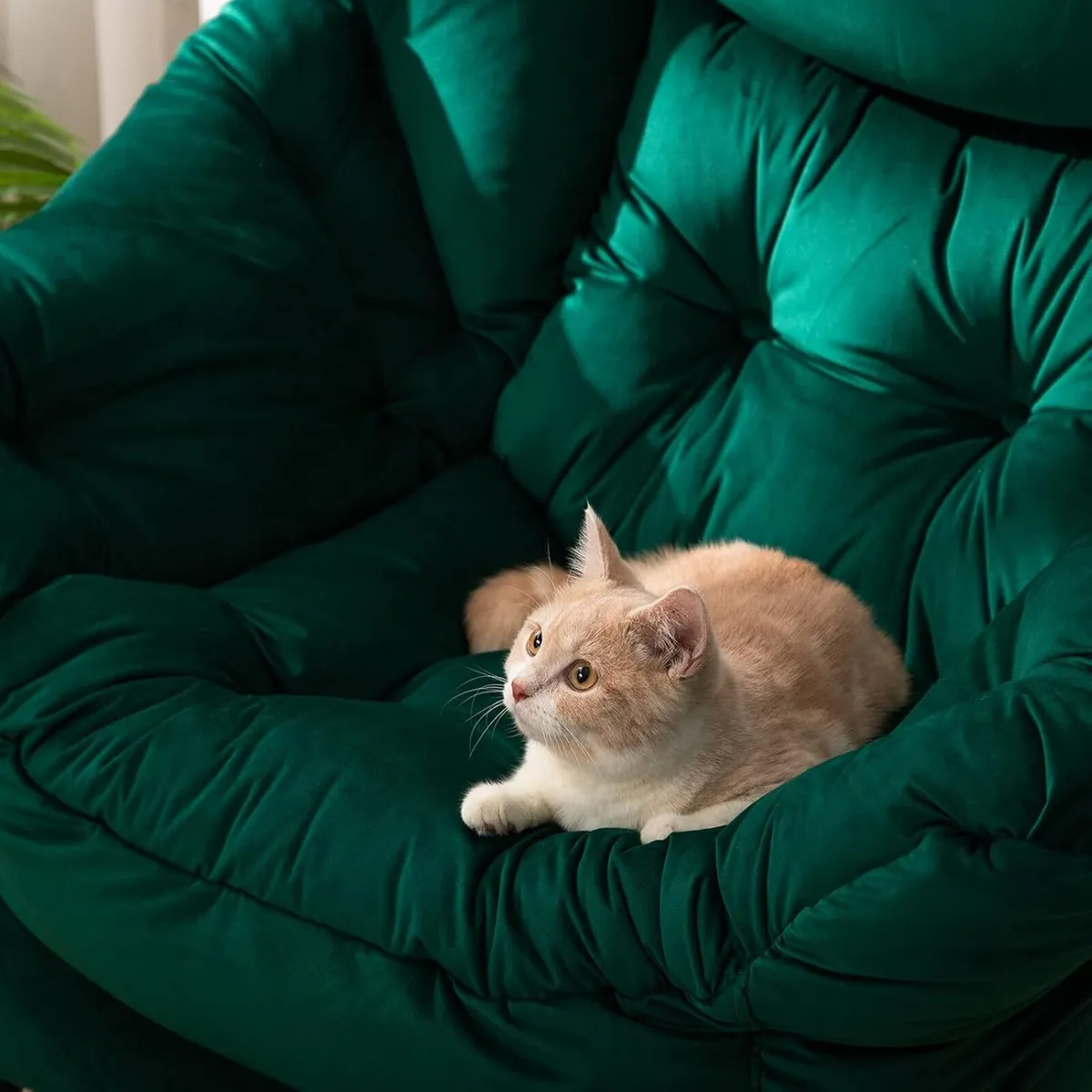 Armchair Comfy Chair Living Room Velvet Reading - Image 4