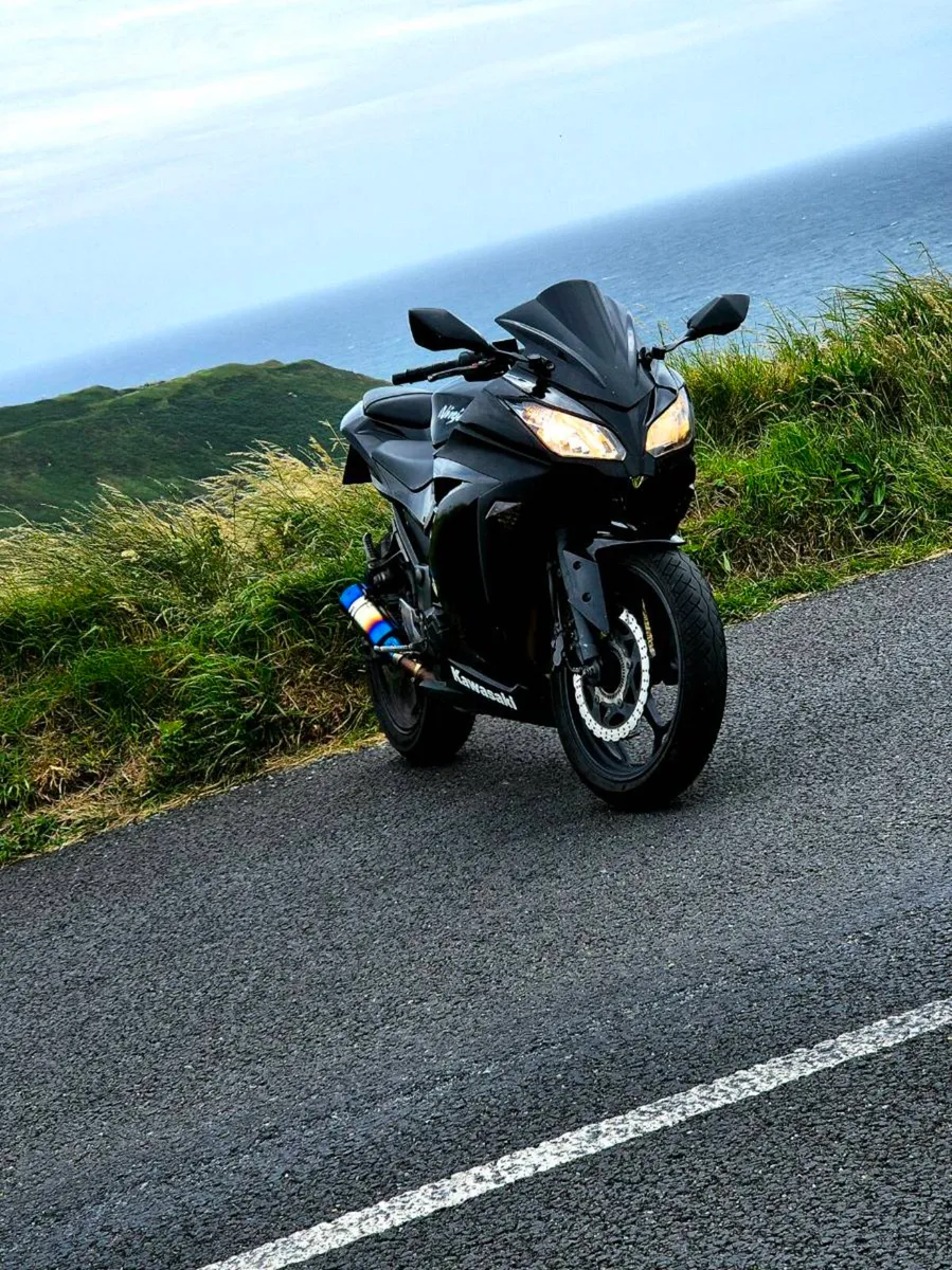 Kawasaki ninja 300 - Image 4