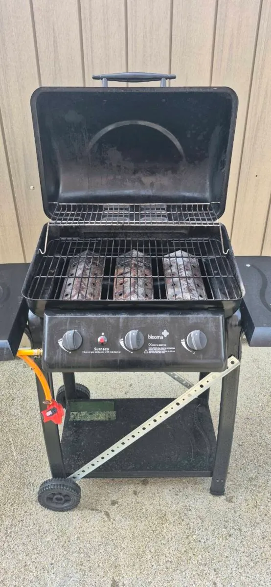 Gas BBQ - Image 2