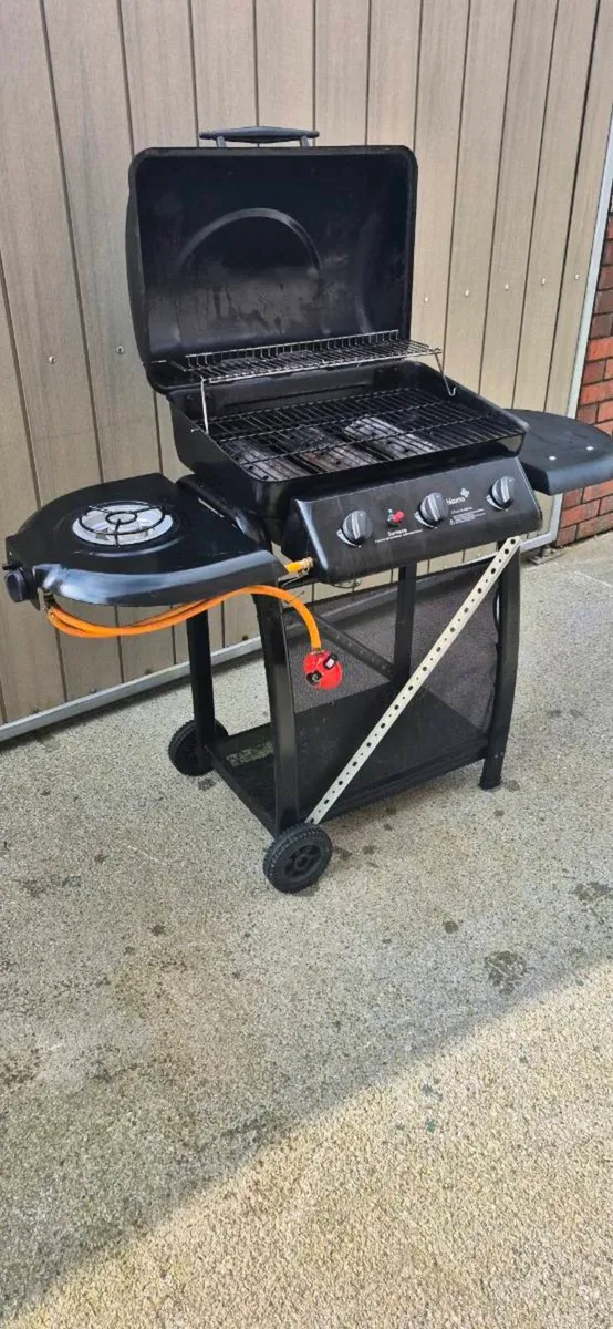Gas BBQ - Image 4