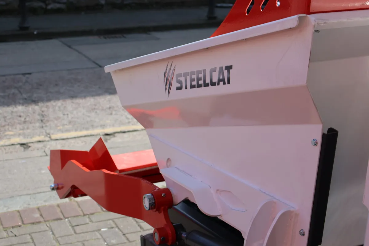 2026 track dumper - Image 4