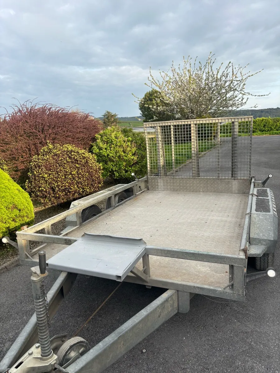 2023 Nugent 10x6 plant trailer - Image 3