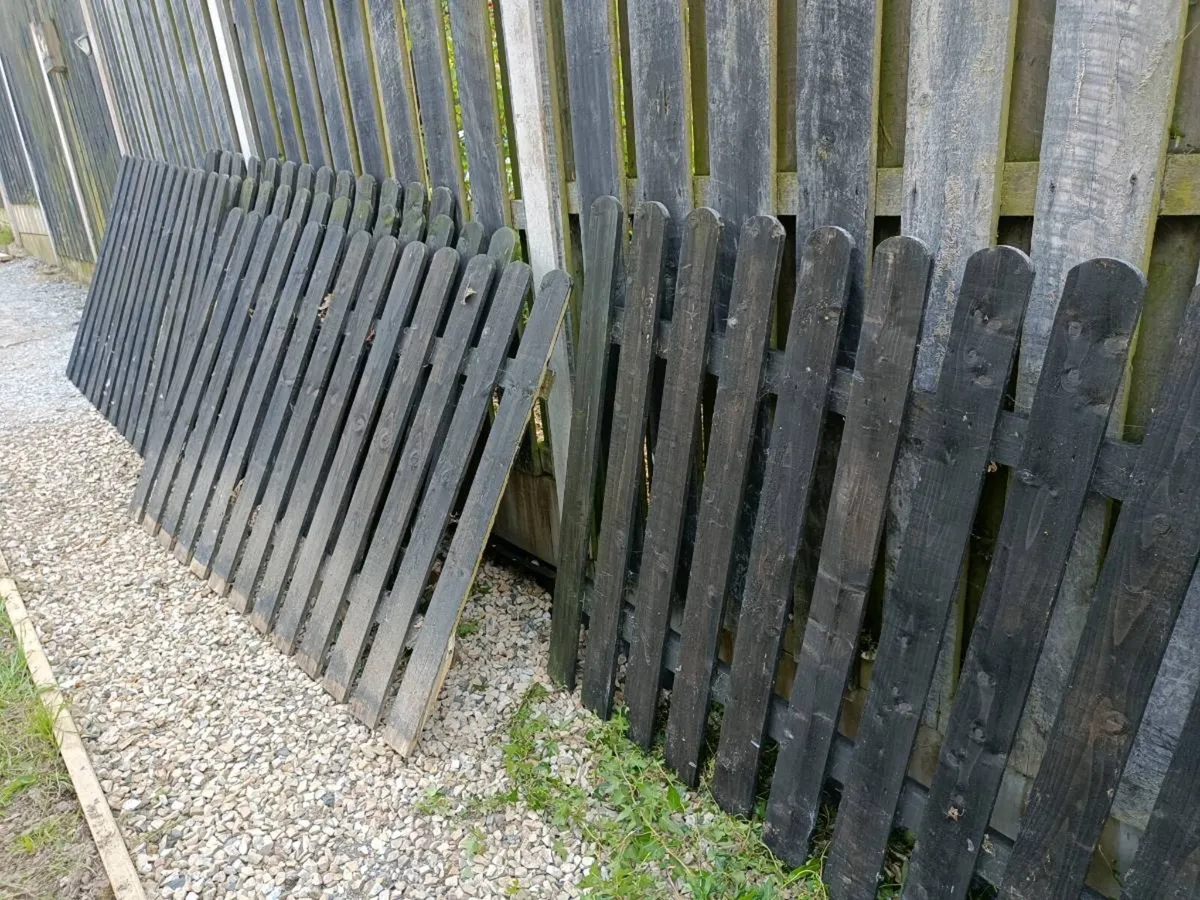 Fence Panels - Image 2