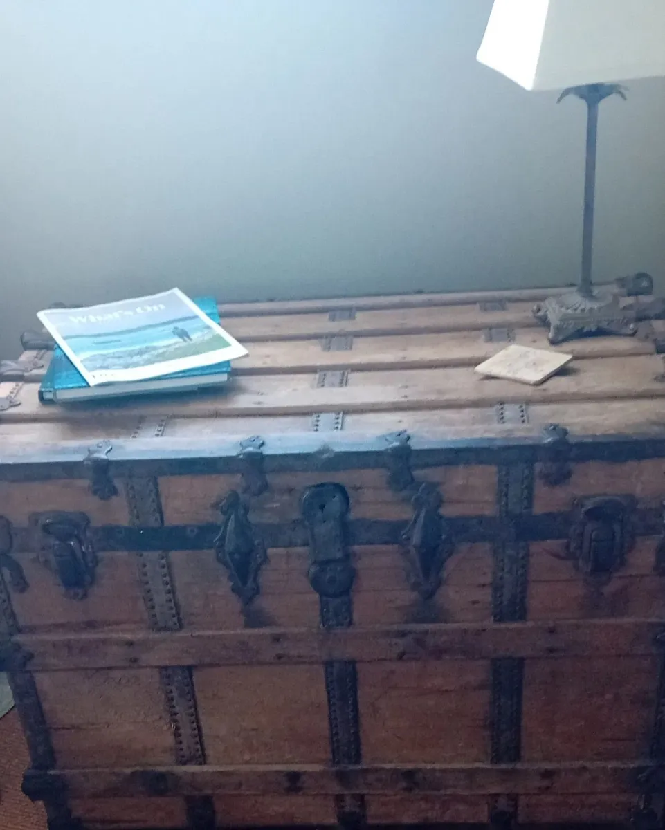 ANTIQUE PINE TRUNK - Image 1