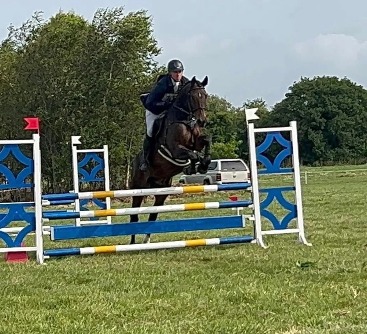 Schoolmaster Eventer Gelding - Image 2