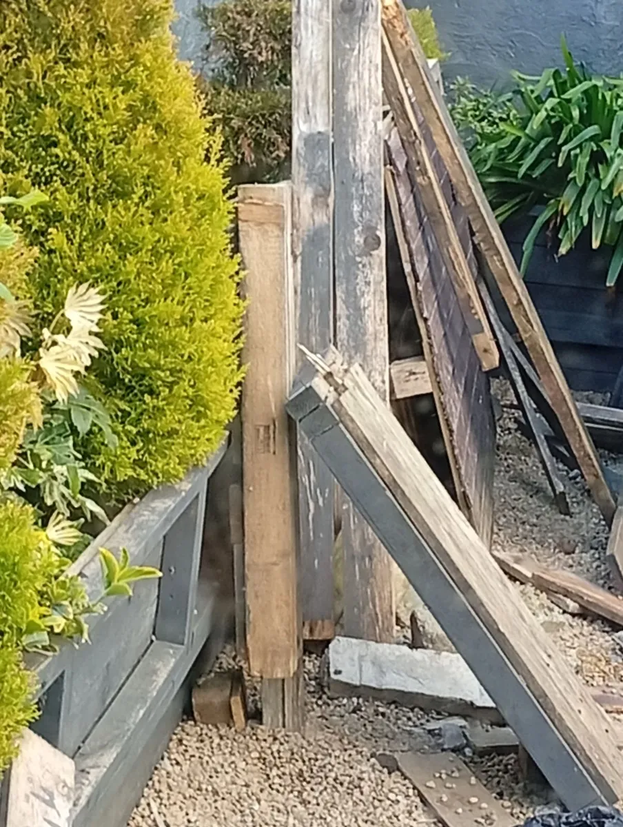 Rubbish removal/ garden clearance - Image 4