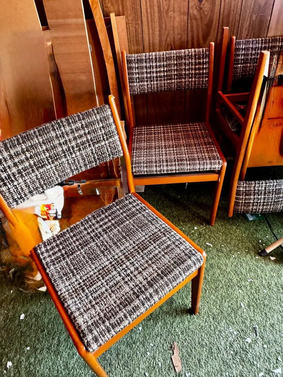 Mid century Dining room chairs