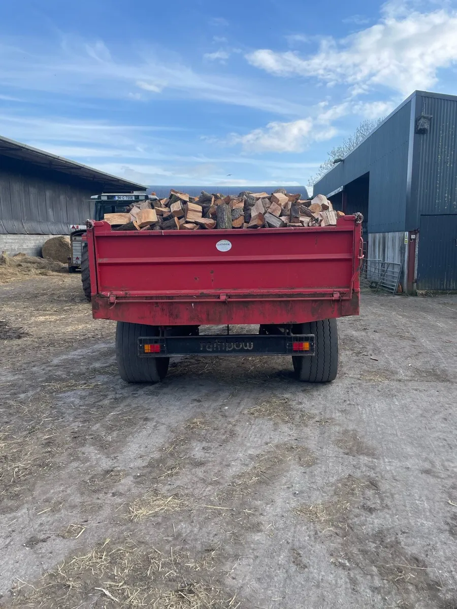Seasoned Firewood - Image 4