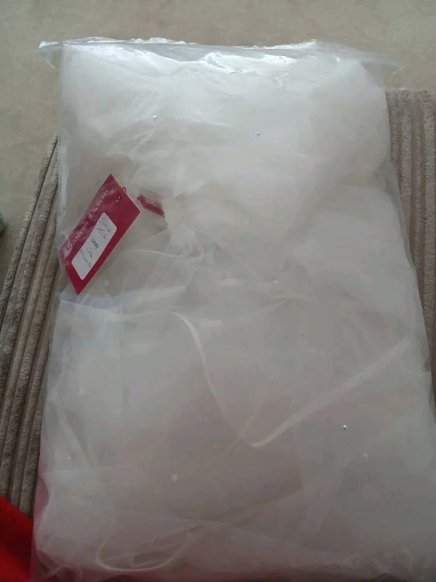 Brand new Elizabeth Dickens wedding veil - Image 3