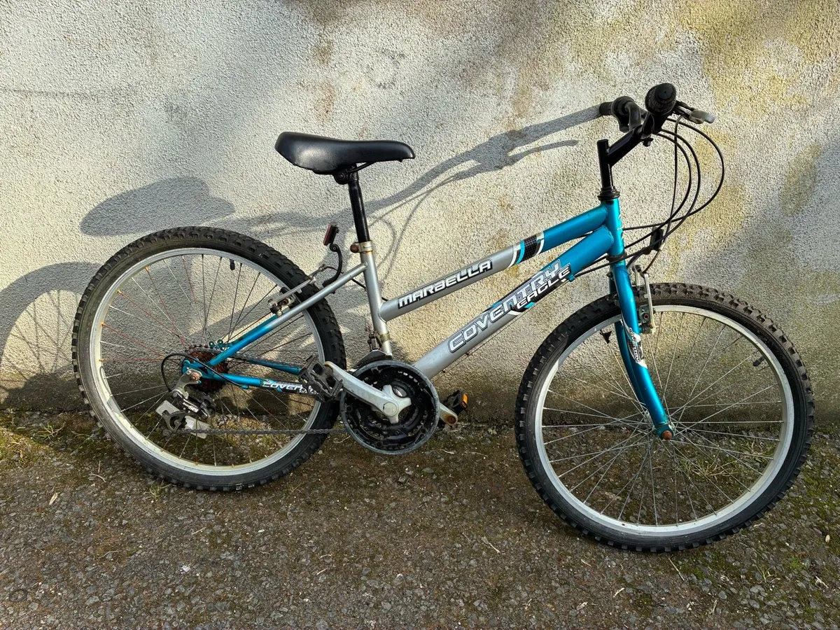 Teens mountain bike - Image 1