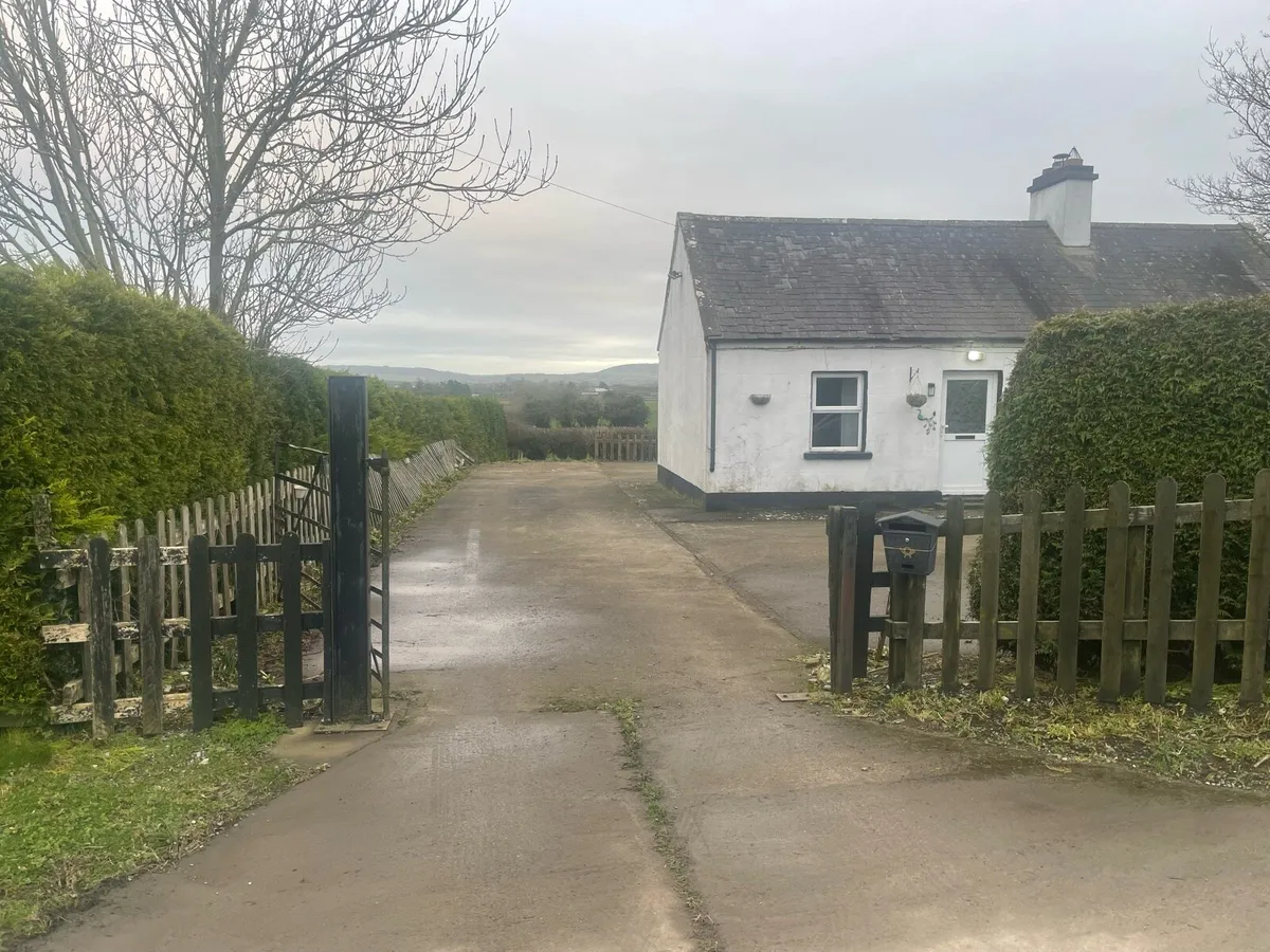 House for rent - Image 3