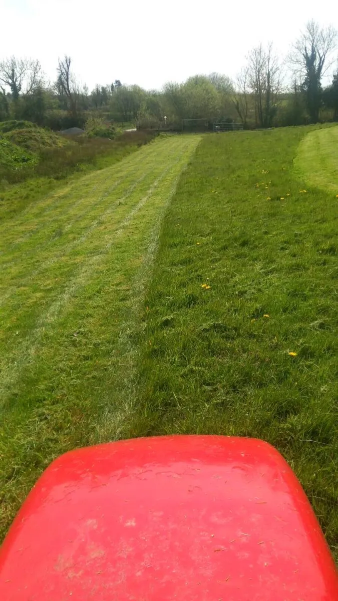 Grass cutting and Maintenance