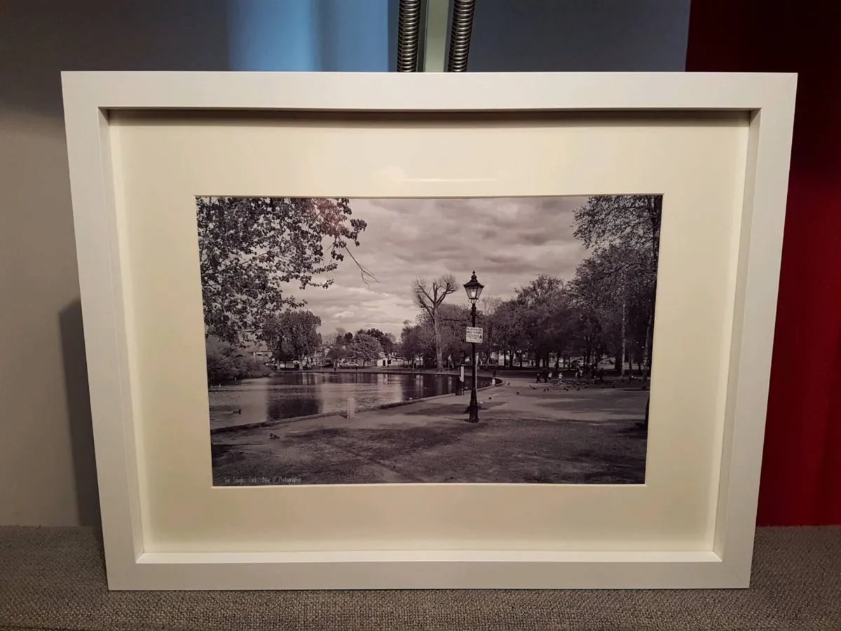 The Lough, Cork - Image 1