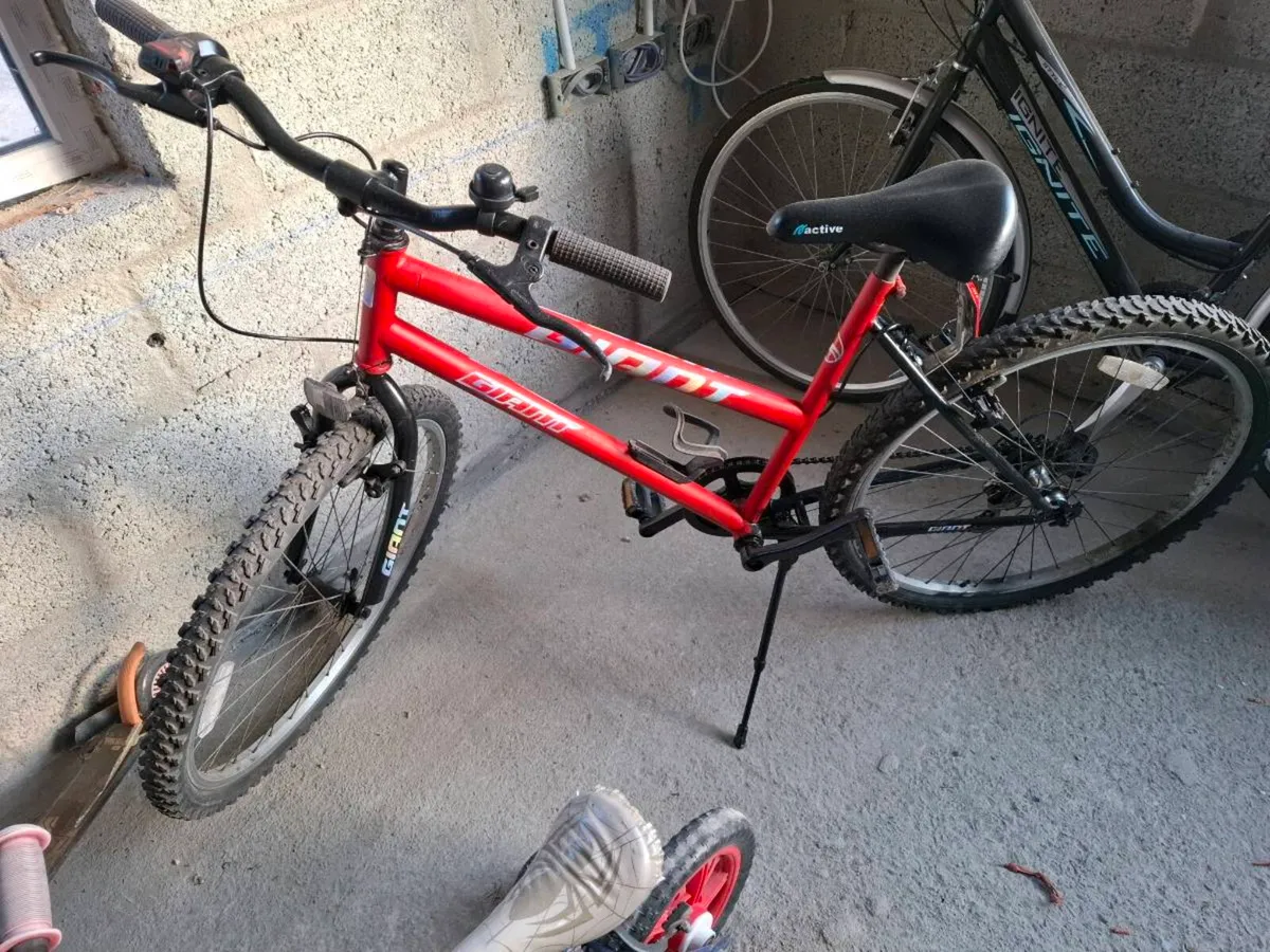 Ladies Giant Mountain Bike - Image 1