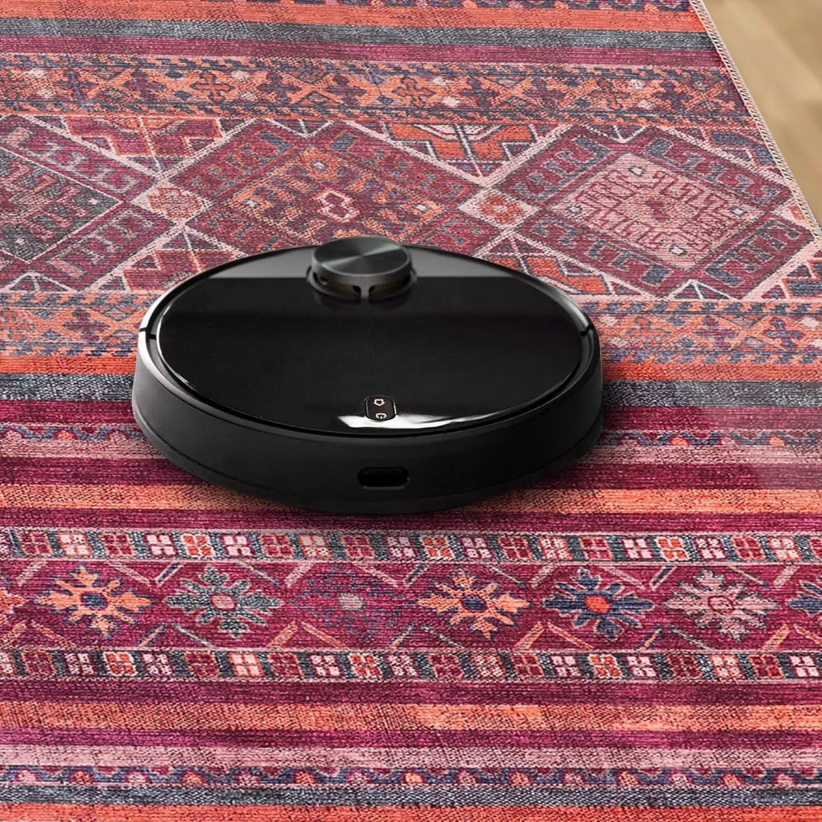 Washable Area Rugs for Living Room Traditional - Image 4