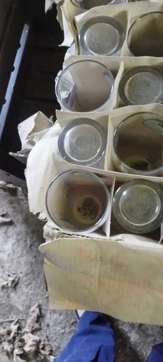 Smithwicks Pint Glasses - Image 4