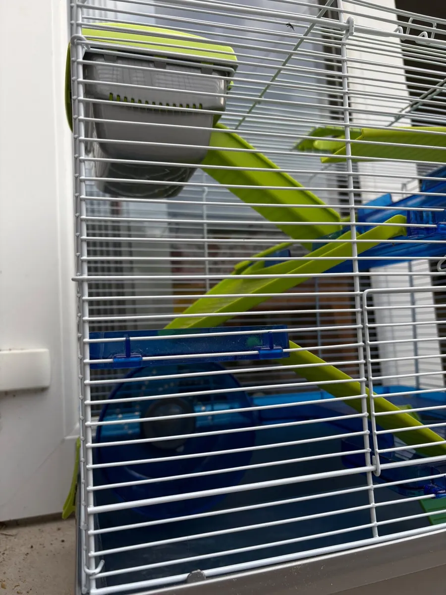 Hamster Cage XL – Full Setup Ready to Use - Image 2