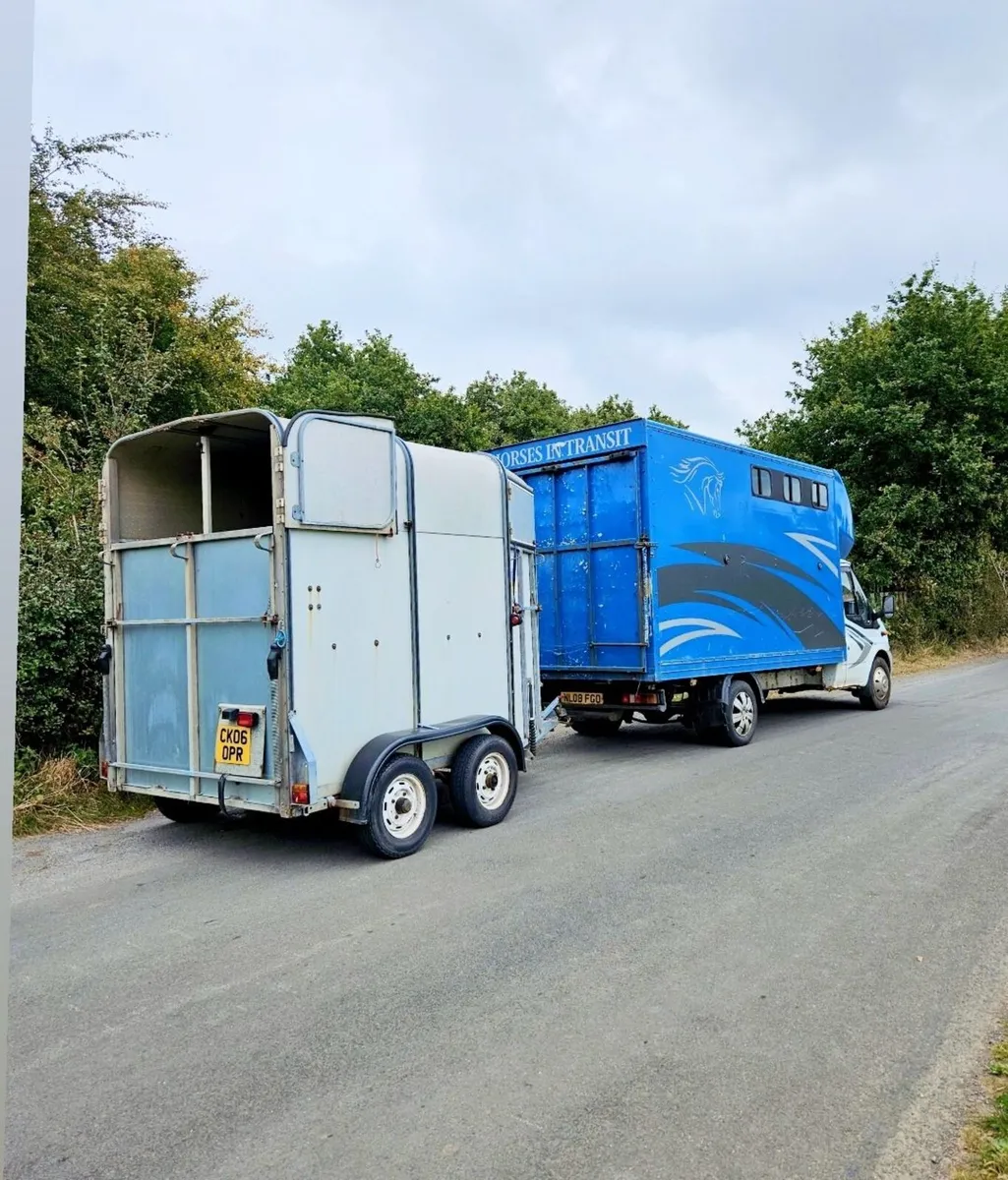 Horse lorry 3.5t - Image 2