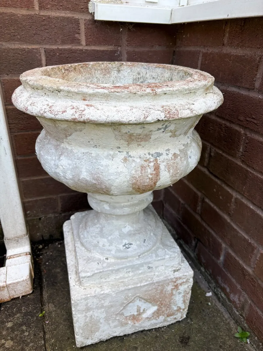 Solid Concrete flower pots - Image 1