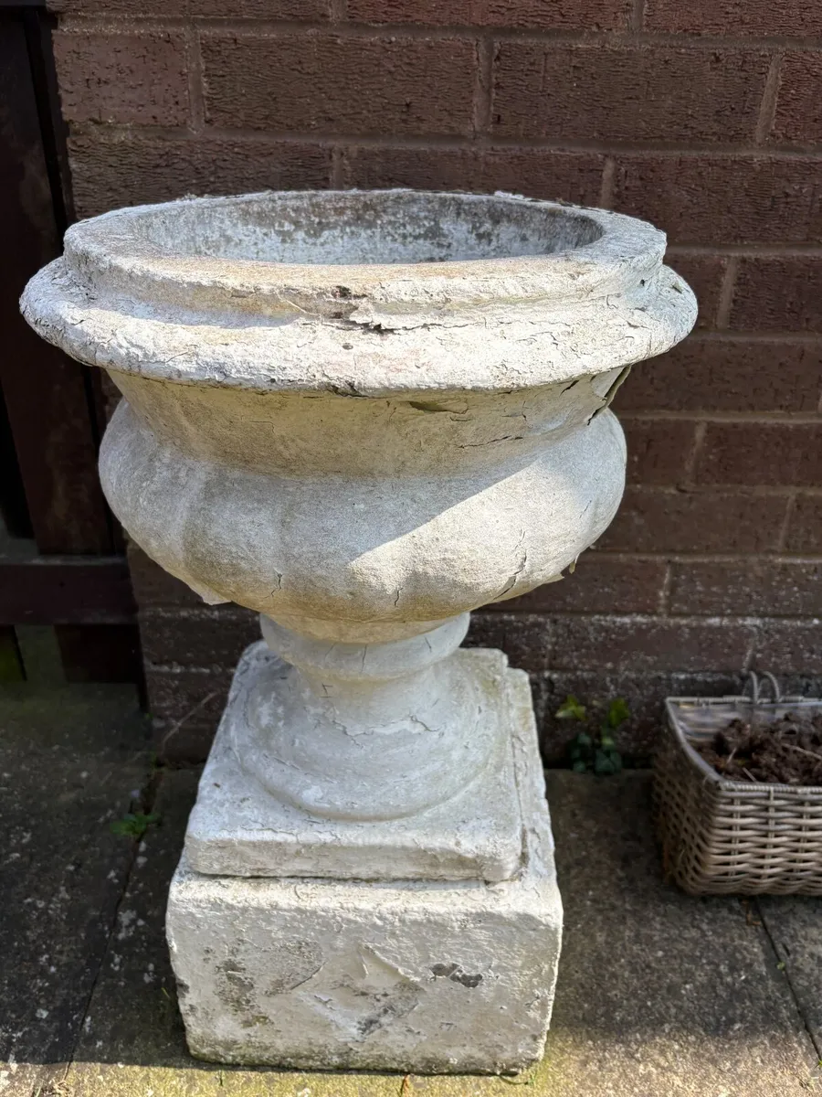 Solid Concrete flower pots - Image 2