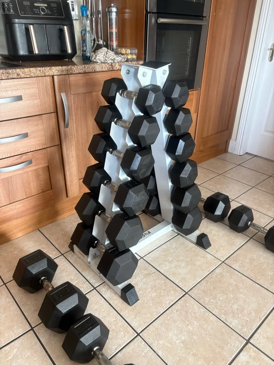 RUBBER HEX DUMBBELL SET AND VERTICAL RACK!! - Image 2