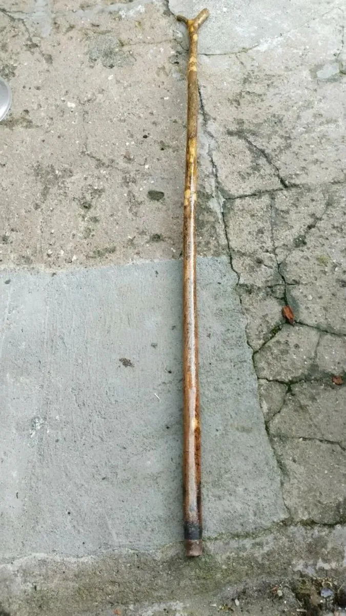 HOLLY rambling staff - Image 1