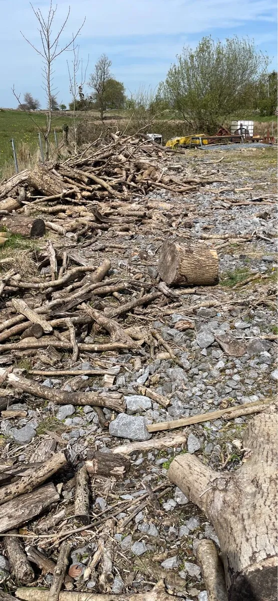 Cheap Ash firewood - Image 1