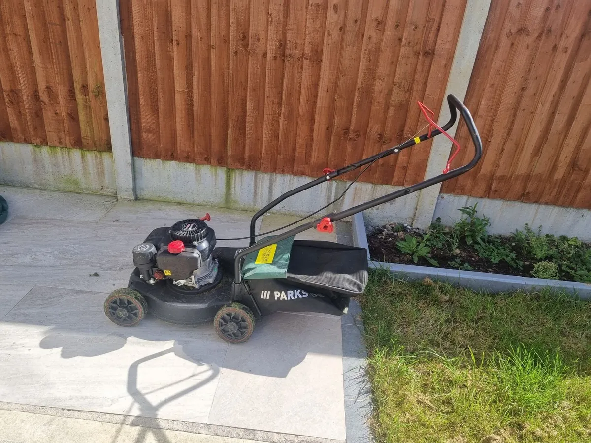 Lawnmower and strimmers - Image 1