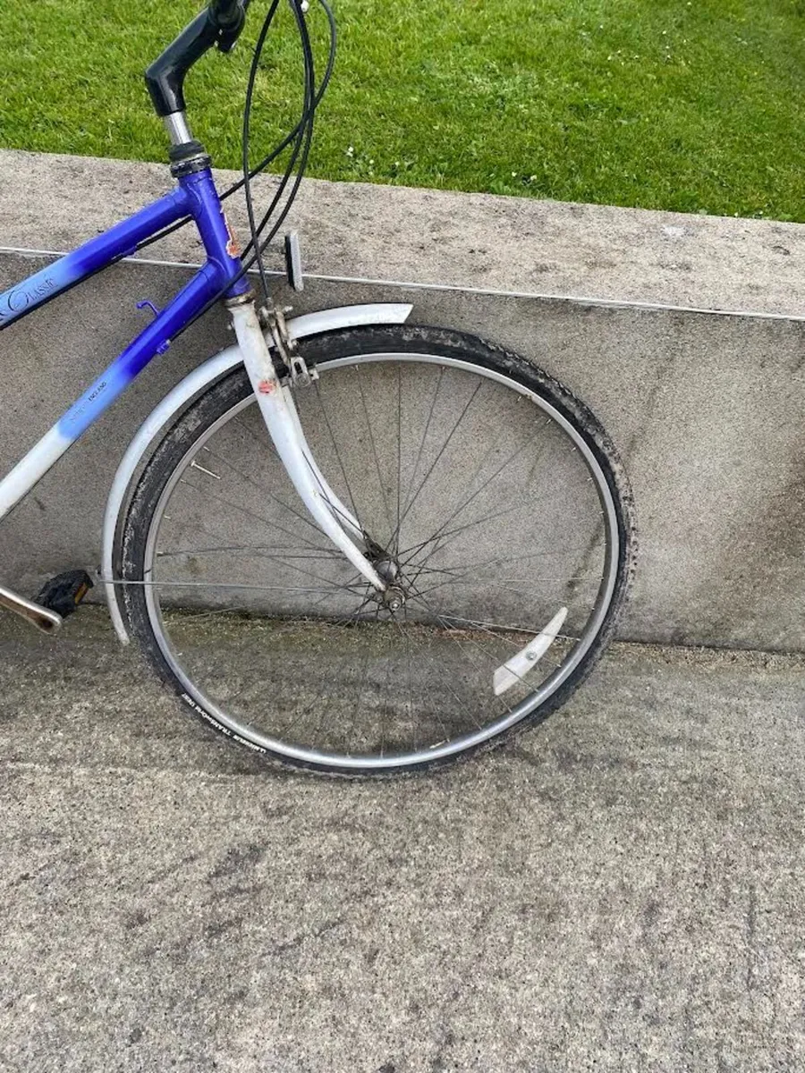 Adults bike - Image 3