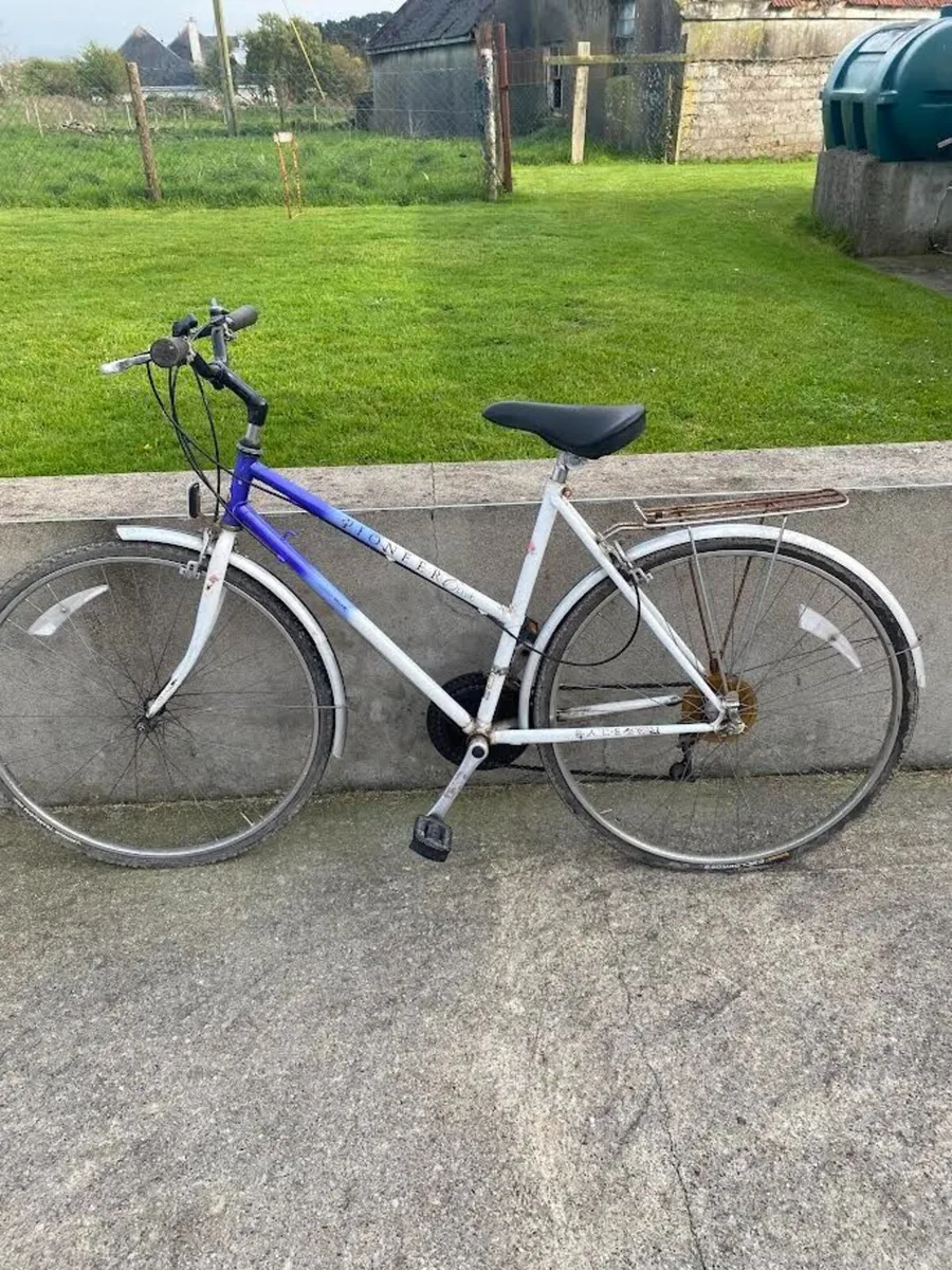 Adults bike - Image 1