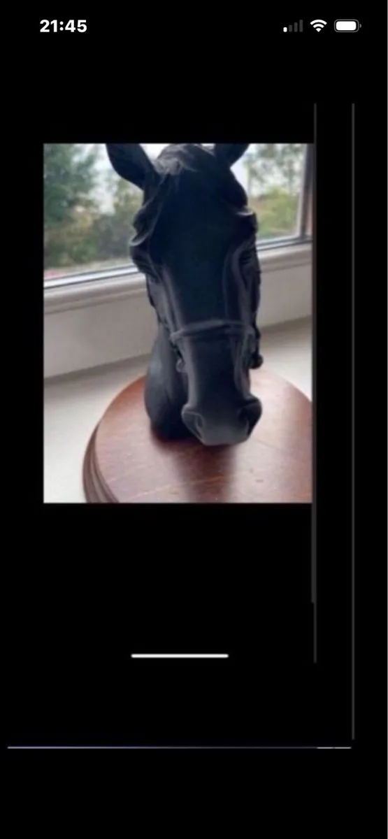 Vintage Horse Head Display - Image 4