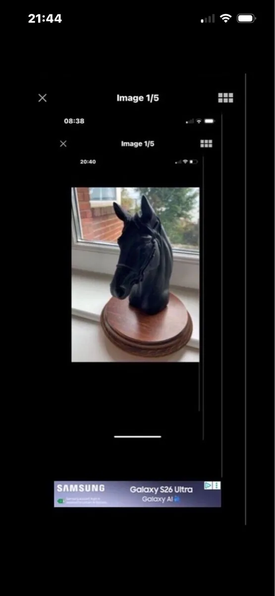 Vintage Horse Head Display - Image 1