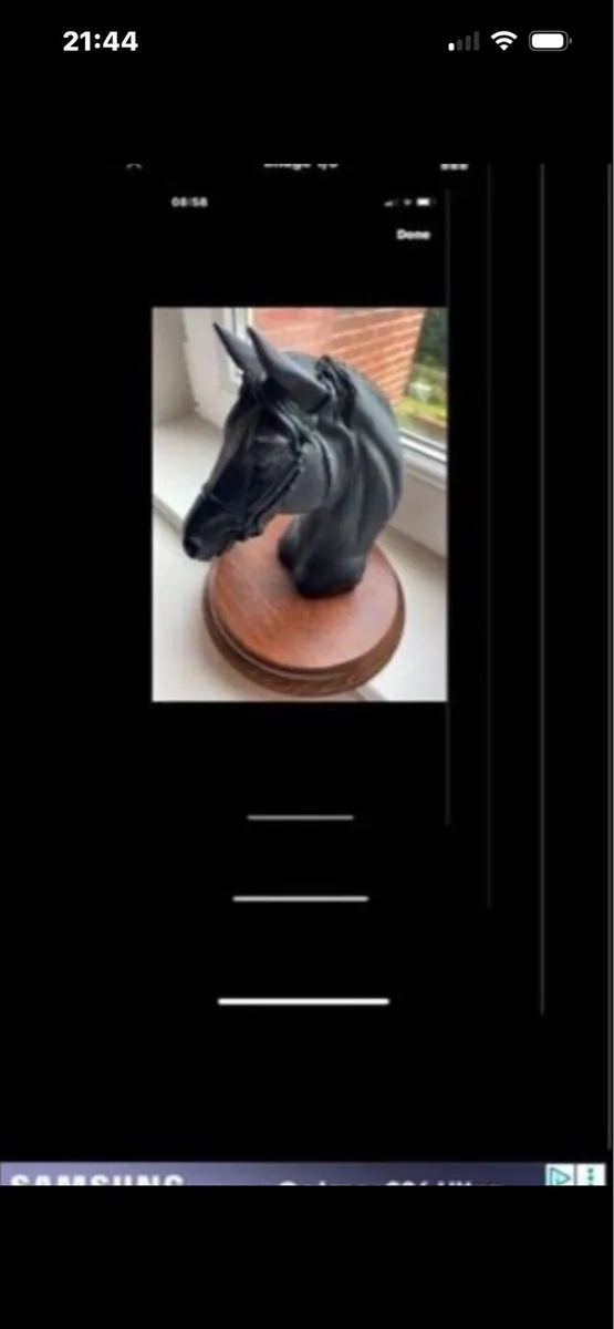 Vintage Horse Head Display - Image 2