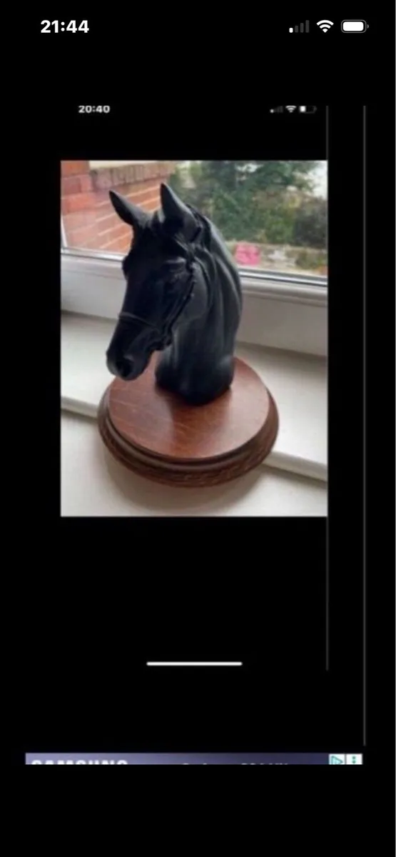 Vintage Horse Head Display - Image 3