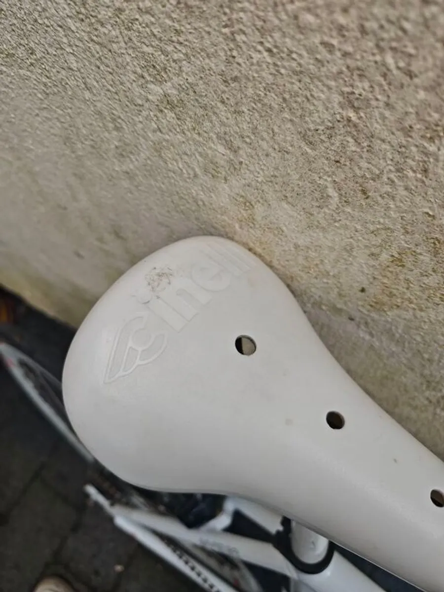 Cinelli Bootleg Mystic 54cm Fixie/single speed - Image 3