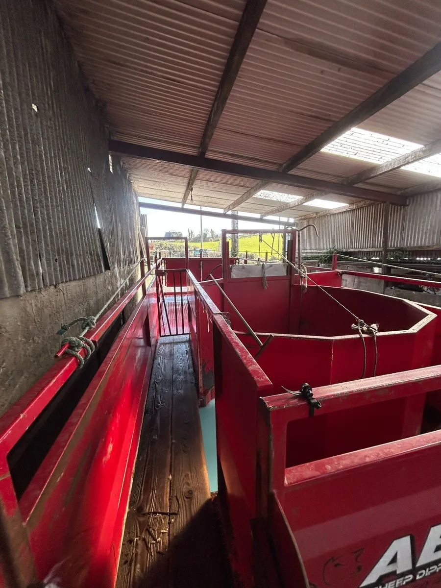 Sheep dipper for sale - Image 3