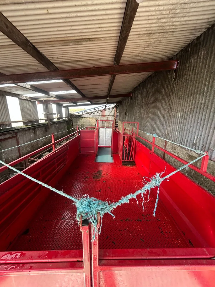 Sheep dipper for sale - Image 4