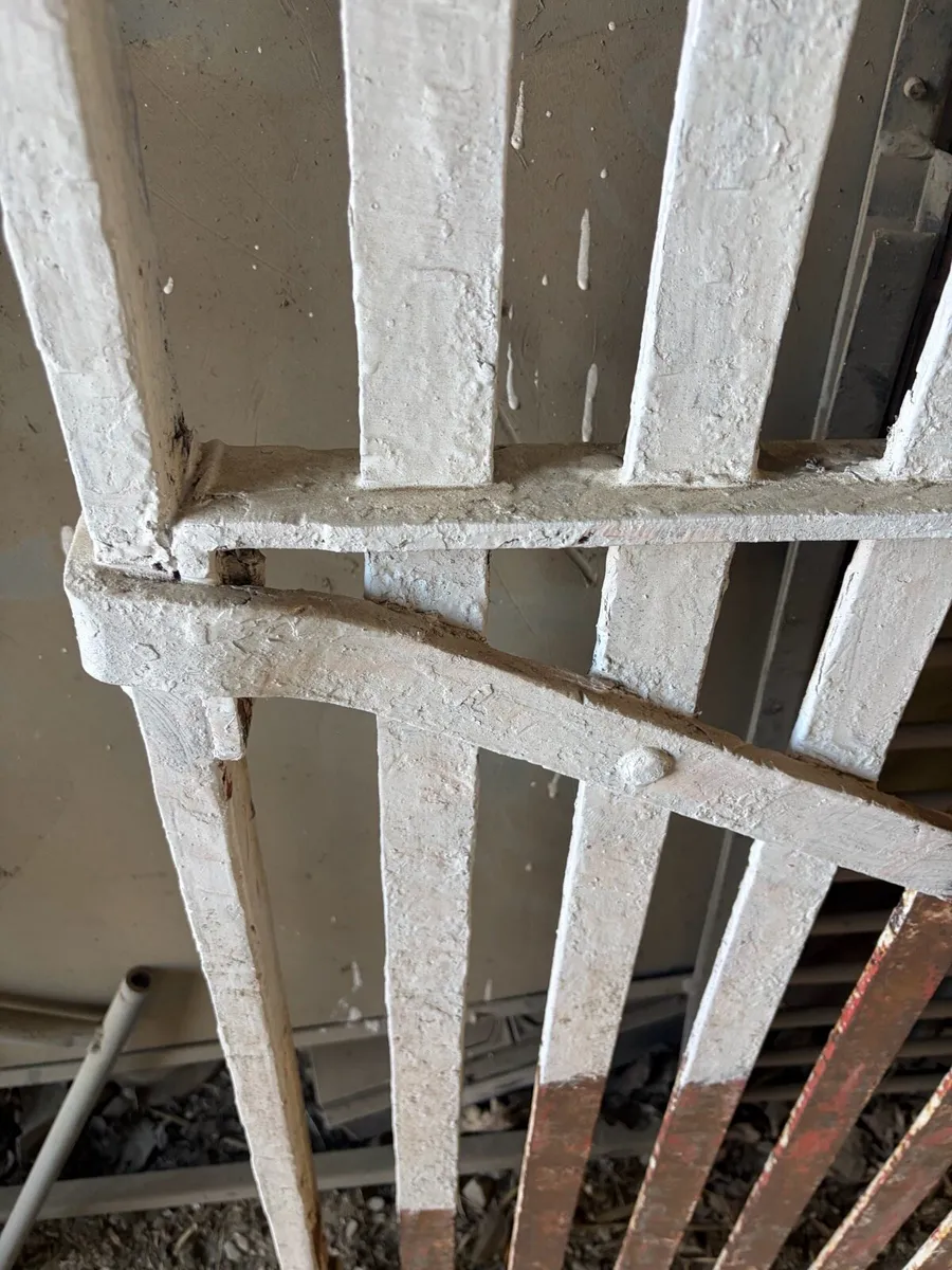 Antique gates. - Image 2